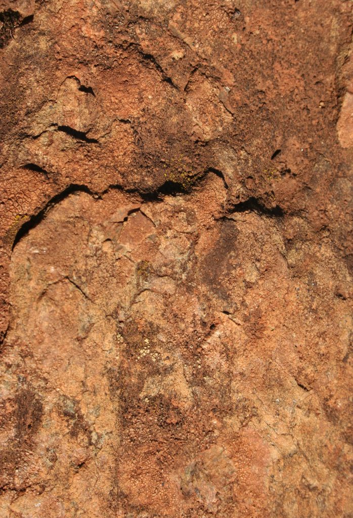 Texturex red rock stone Grain Ground Texture - Texture X