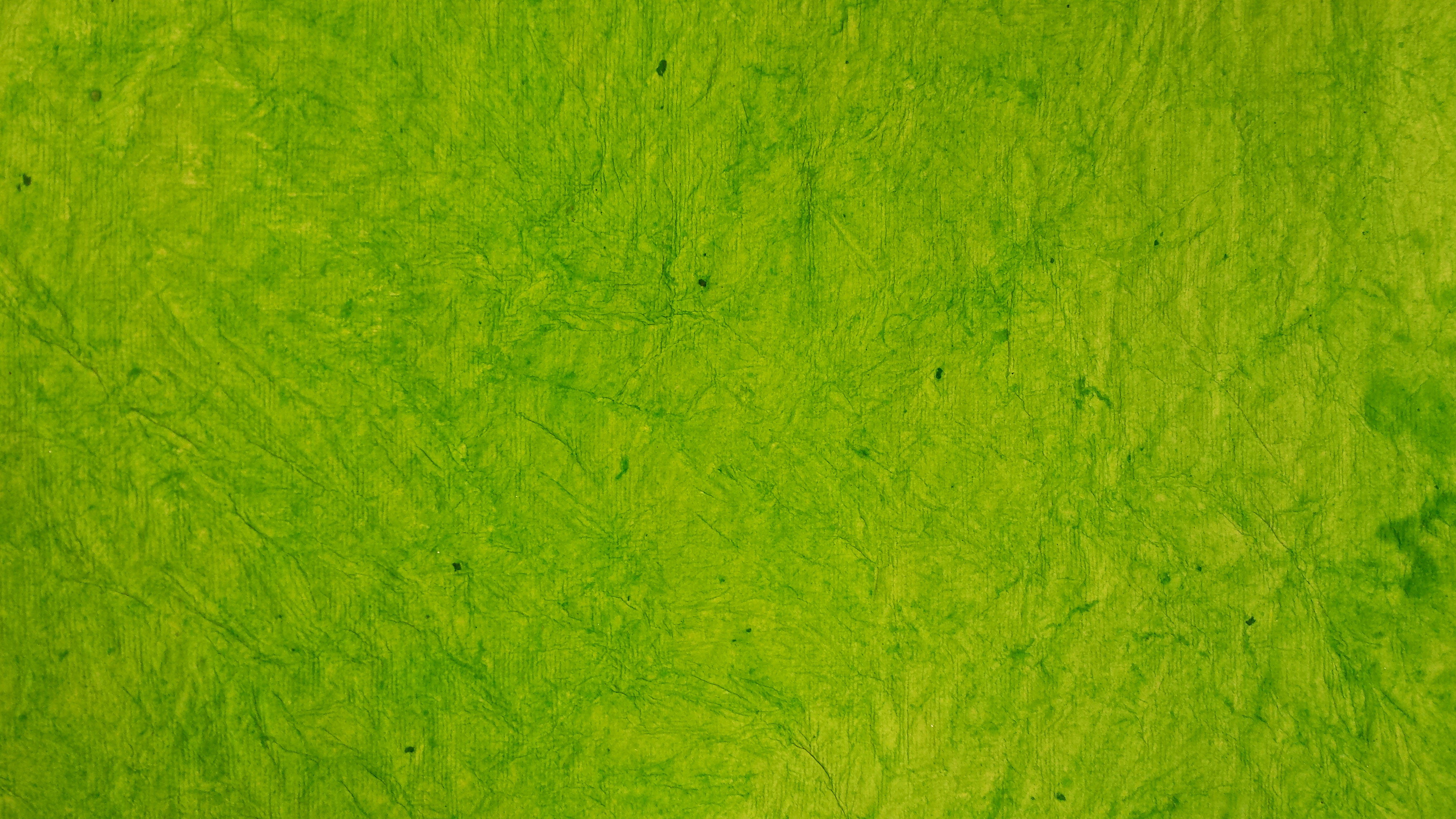 green paper texture