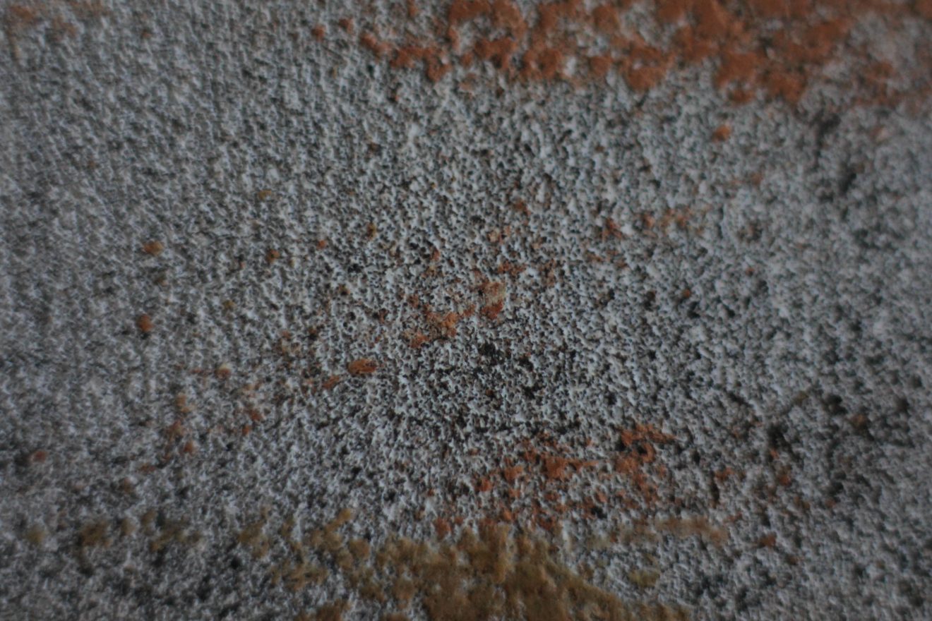 grunge wallpaper spotted orange black macro stock photo rough - Texture X