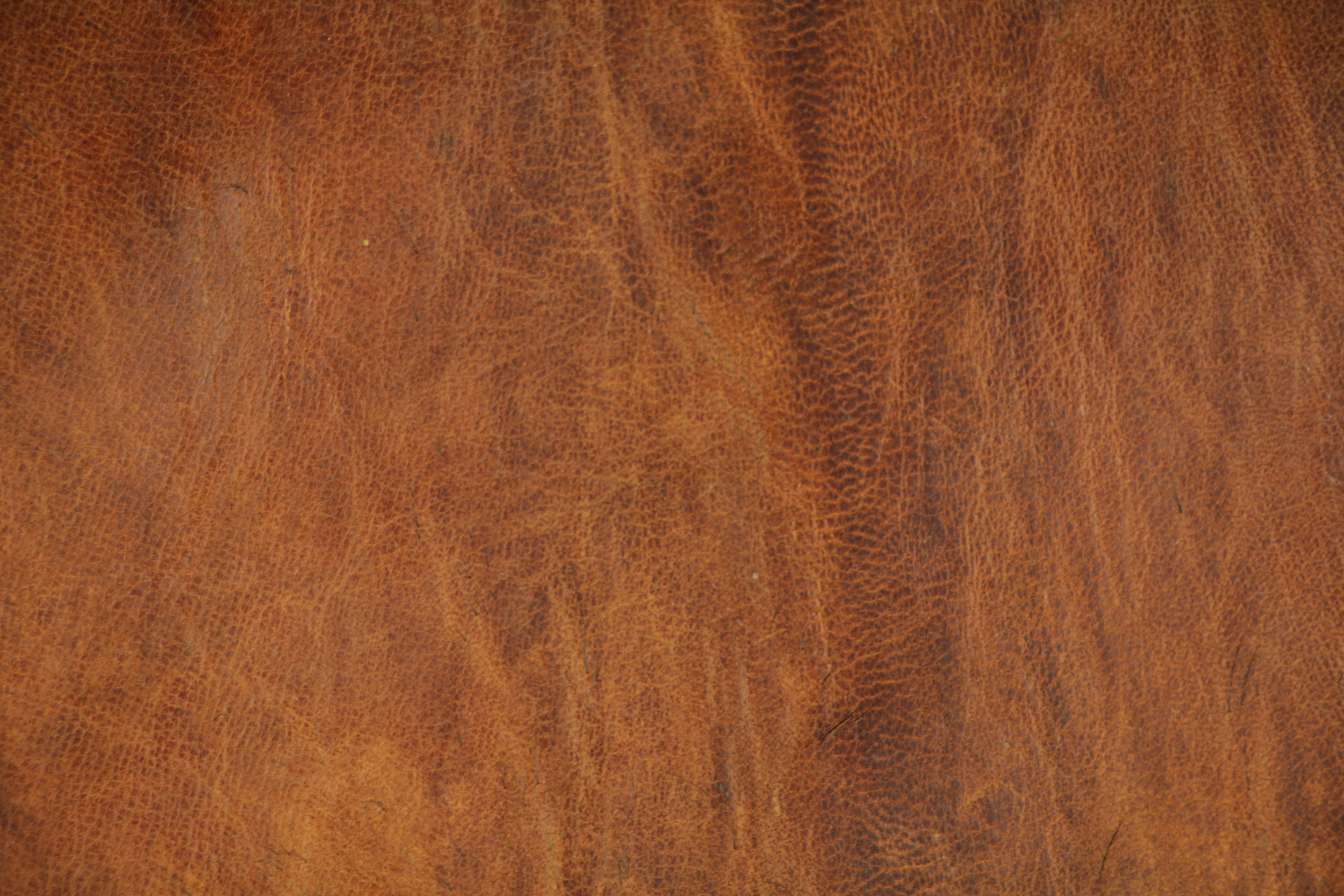 wallpaper rustic brown leather  and premium TextureX smooth photo  cattle texture material Free genuine  orange