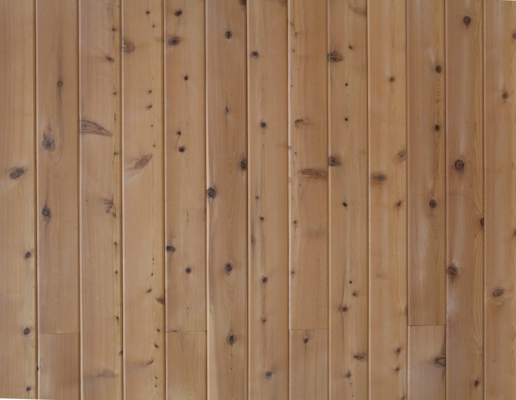 light wood texture mapel wall panel stock wallpaper photo - Texture X