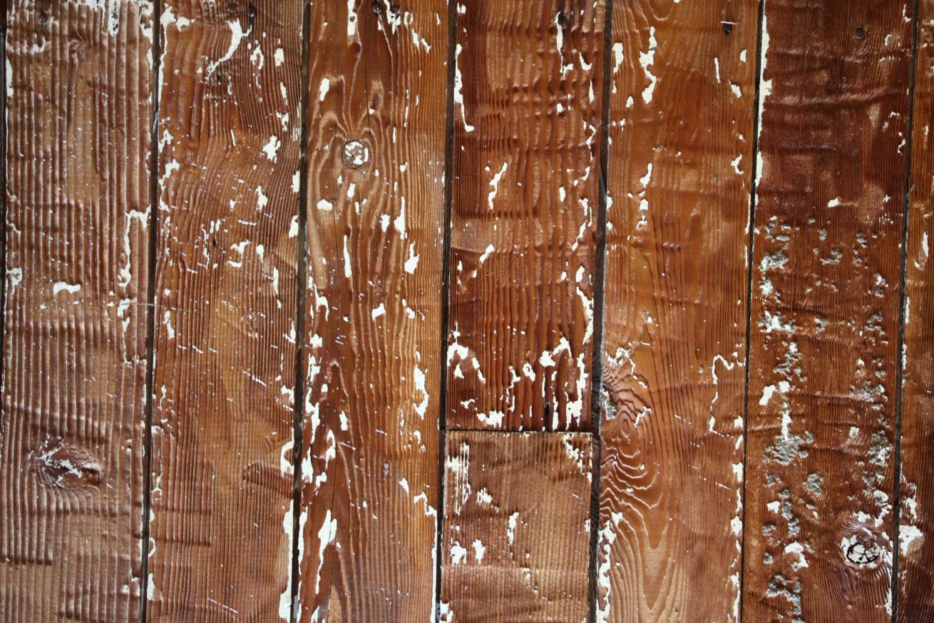 wood-texture-natural-wood-with-white-spots-throughout-texture-x