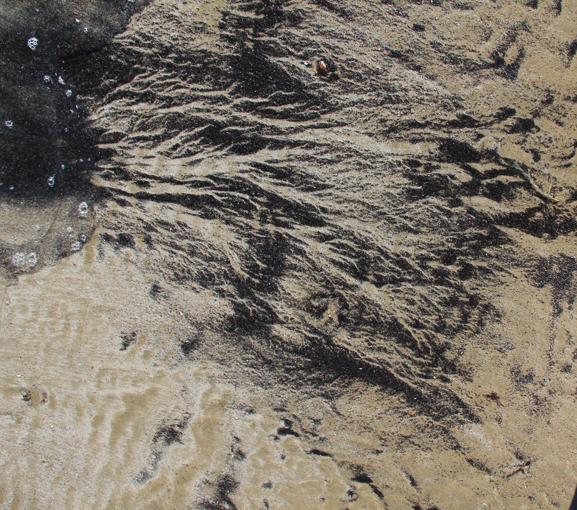 Texturex Dark Sand Texture Beach Dirt Ripples Waves Light Black White Texture