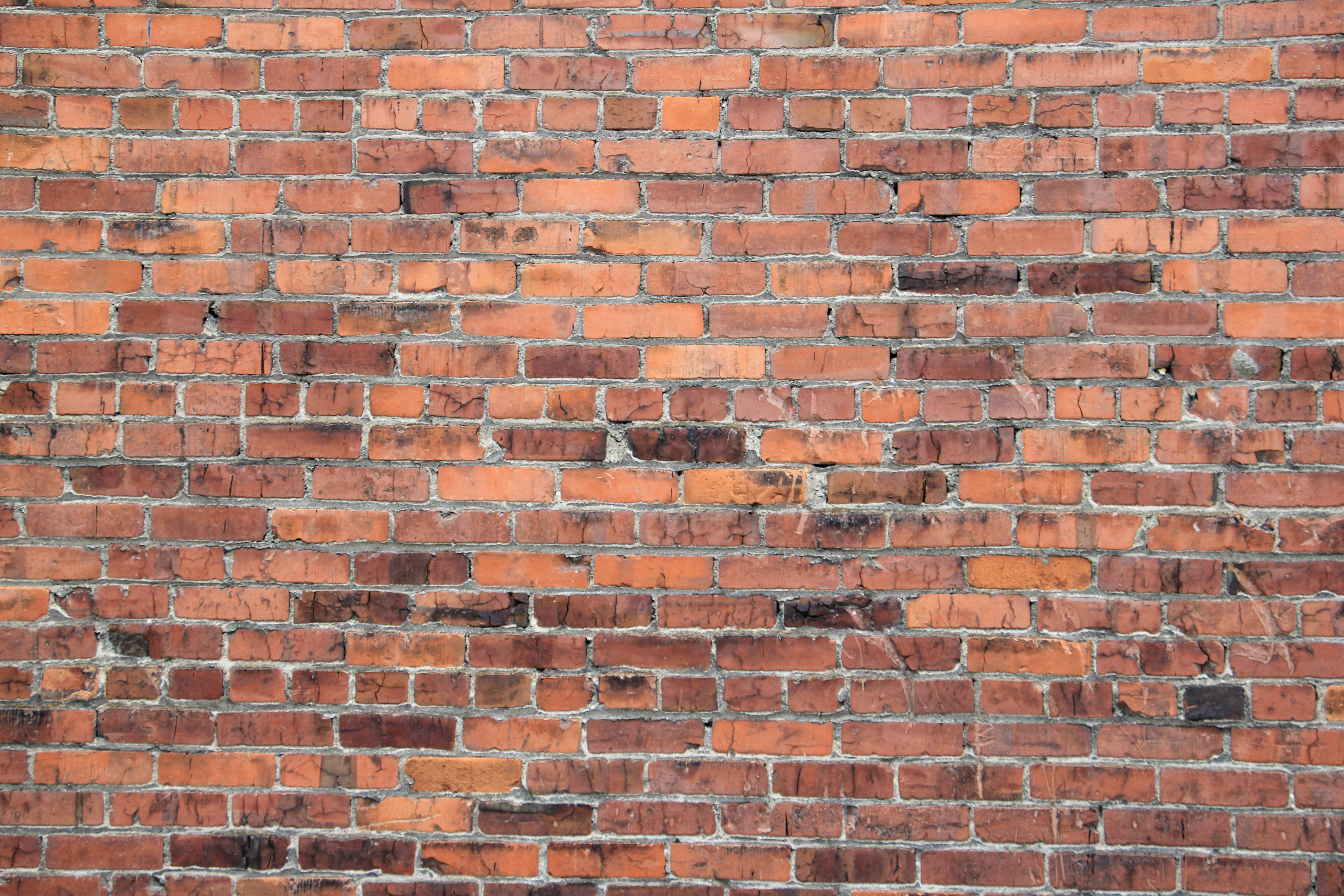 Brick Texture Stock Photo Wallpaper Red Wall Multi Colored