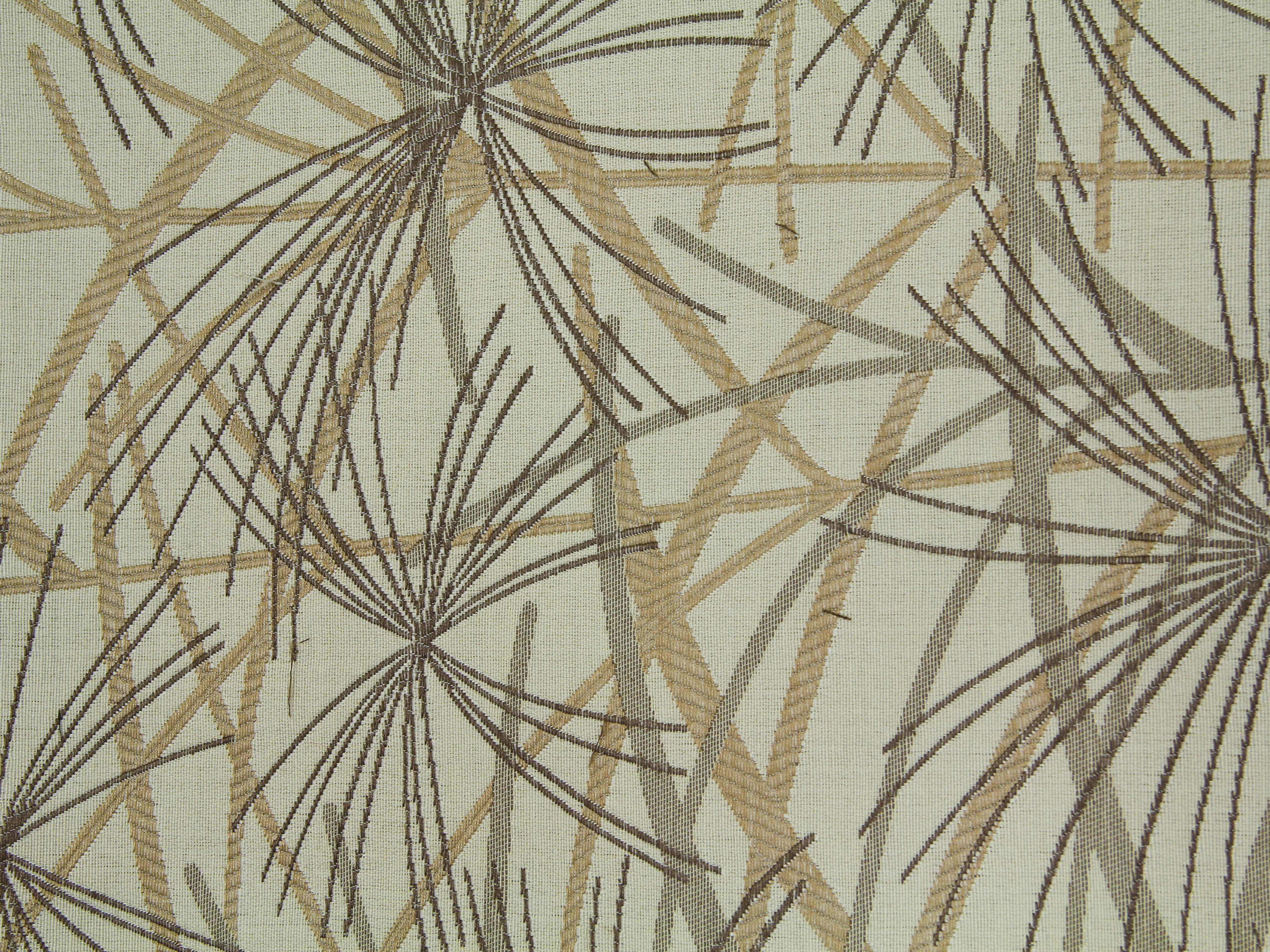 Fabric Texture Dandilion Pattern Brown Cloth Desktop Photo