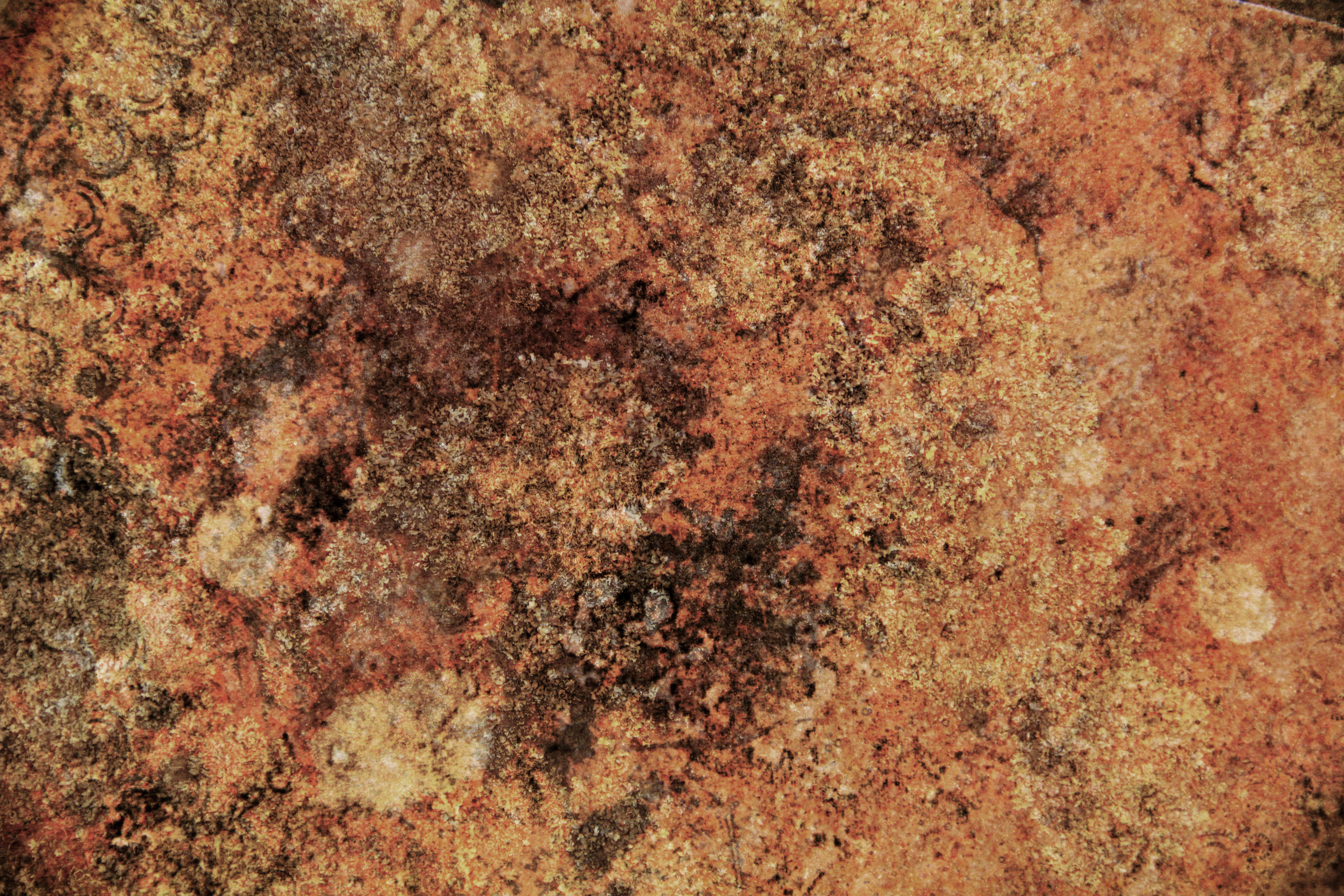 Ugly Grunge Texture Orange Wallpaper Photo