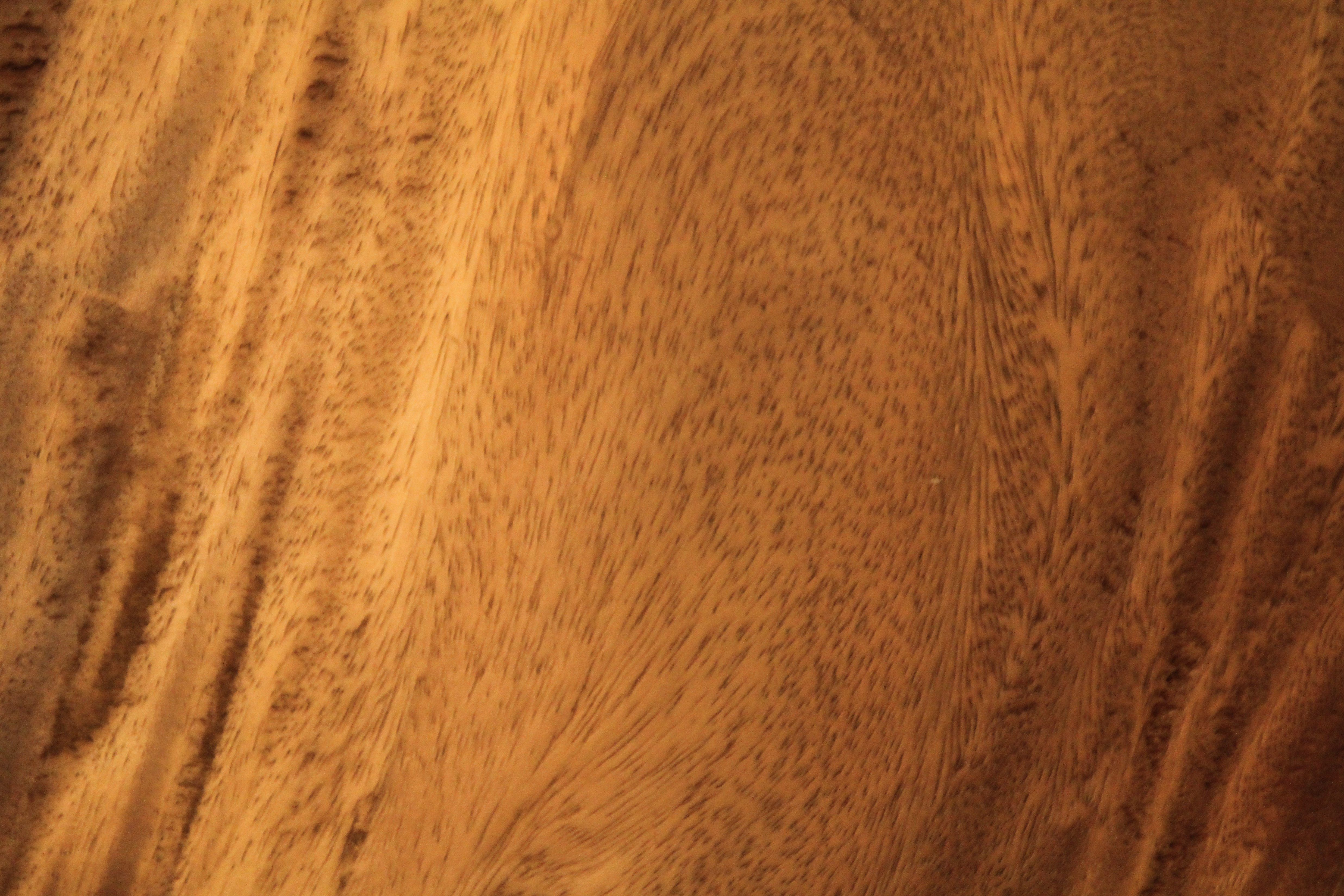 Wood Texture Kempas Flooring Smooth Small Grain