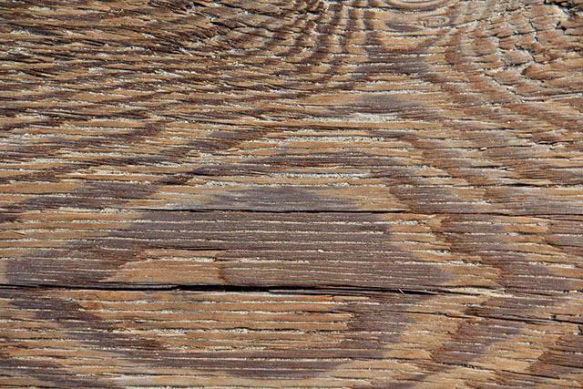 Wood Texture Wood Grain Light Plank Maple Oak Walnut Cedar