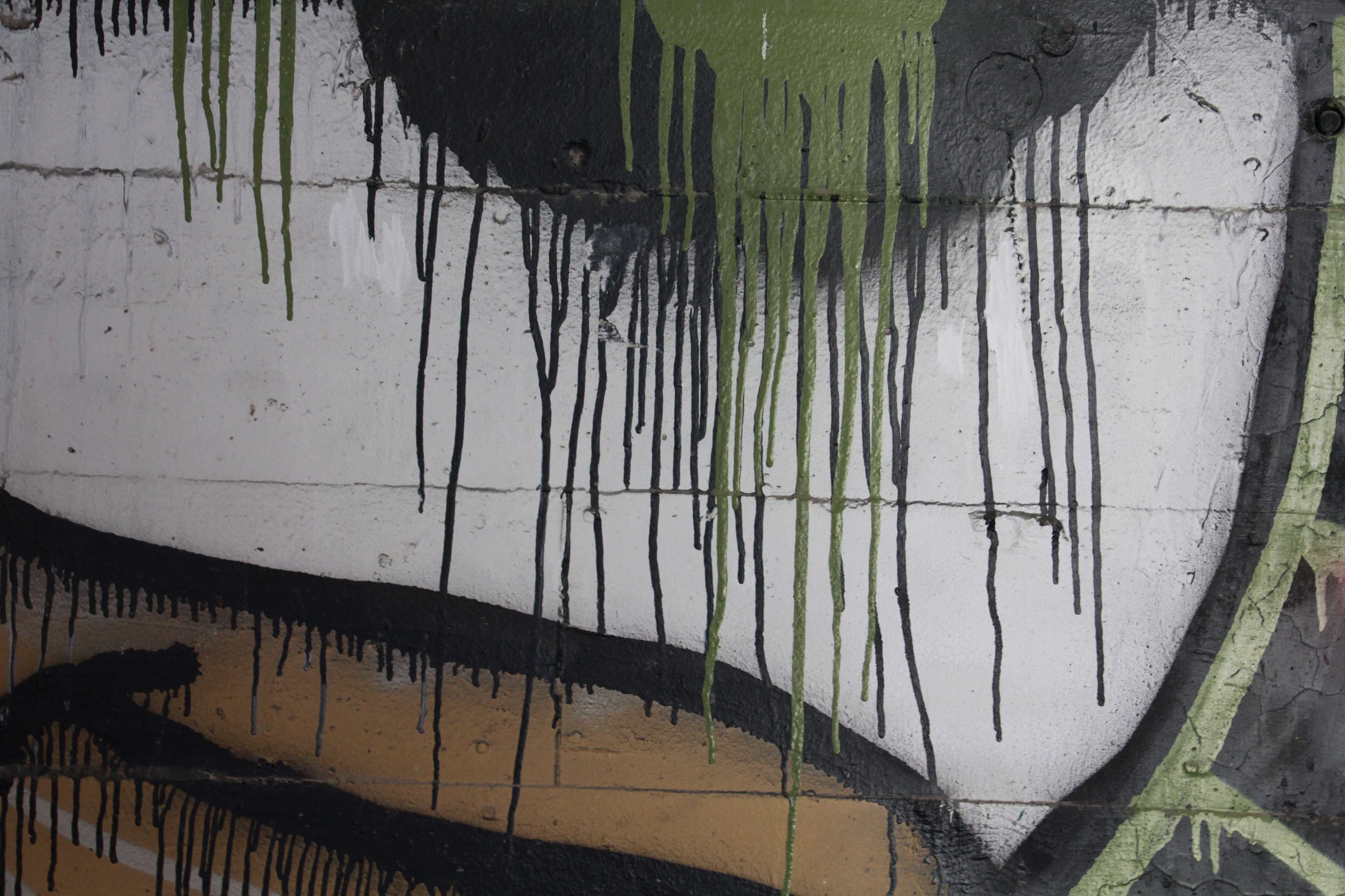 Graffiti Spray Paint White And Green On Brick Wall